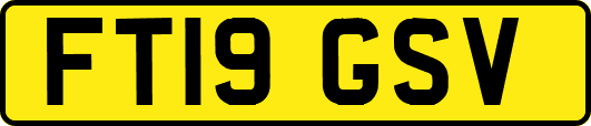 FT19GSV