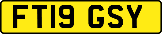 FT19GSY