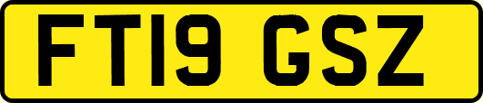 FT19GSZ