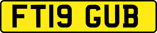FT19GUB