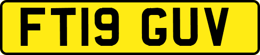 FT19GUV