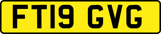 FT19GVG