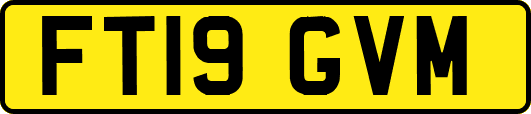 FT19GVM