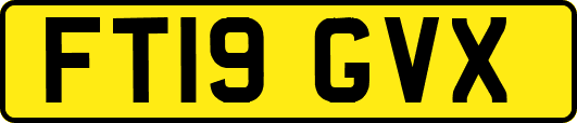 FT19GVX