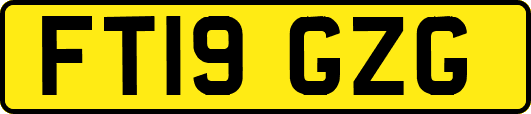 FT19GZG