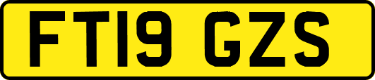 FT19GZS