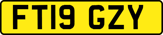 FT19GZY