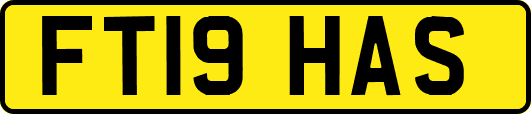 FT19HAS