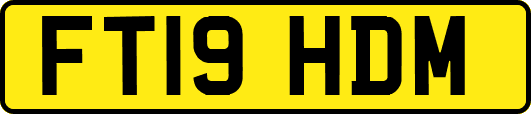 FT19HDM