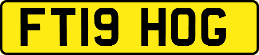 FT19HOG