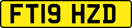 FT19HZD