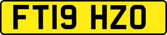 FT19HZO