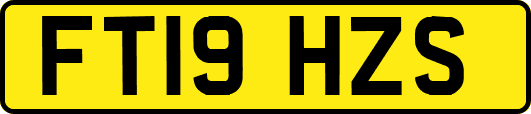 FT19HZS