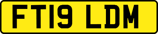 FT19LDM