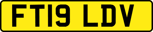 FT19LDV