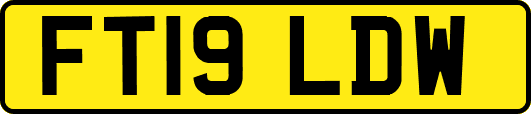 FT19LDW