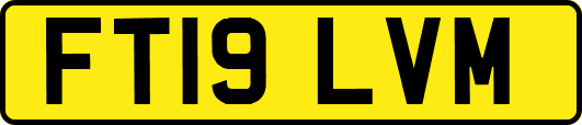FT19LVM