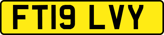 FT19LVY