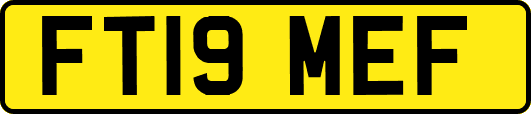 FT19MEF