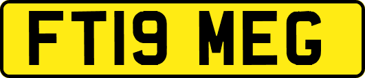 FT19MEG
