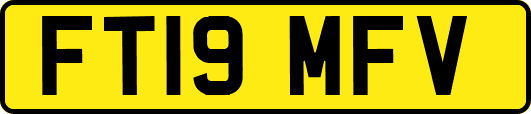 FT19MFV