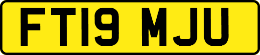 FT19MJU