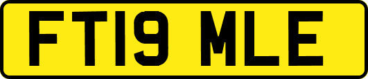 FT19MLE