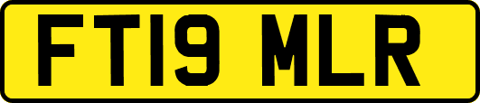 FT19MLR
