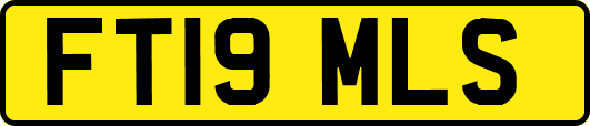 FT19MLS
