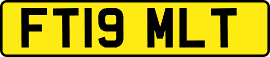 FT19MLT