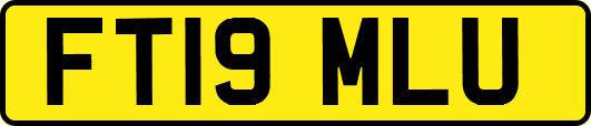 FT19MLU