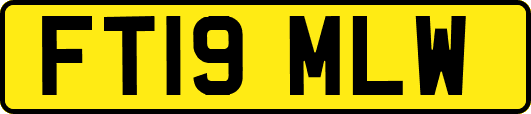 FT19MLW