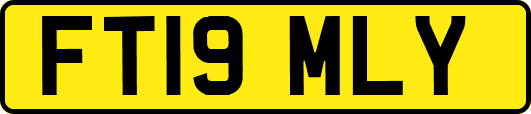 FT19MLY