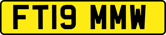 FT19MMW