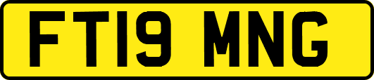 FT19MNG