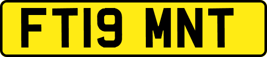 FT19MNT