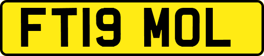 FT19MOL