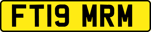 FT19MRM