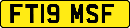 FT19MSF