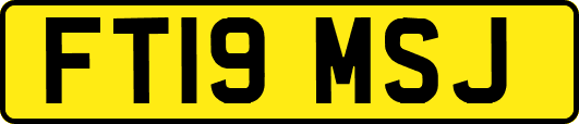 FT19MSJ