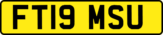 FT19MSU