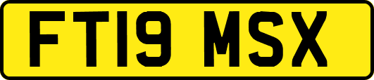 FT19MSX