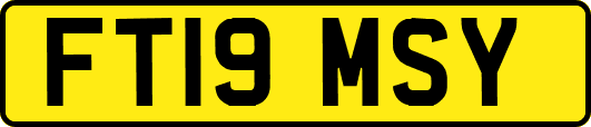 FT19MSY