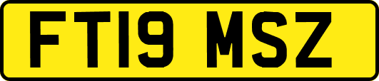 FT19MSZ