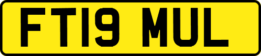 FT19MUL