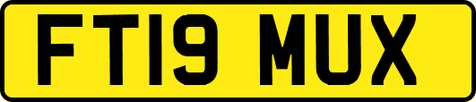 FT19MUX
