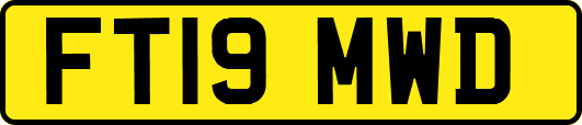 FT19MWD