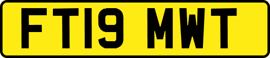 FT19MWT