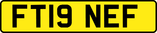 FT19NEF
