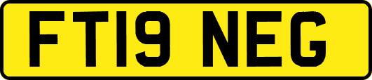 FT19NEG